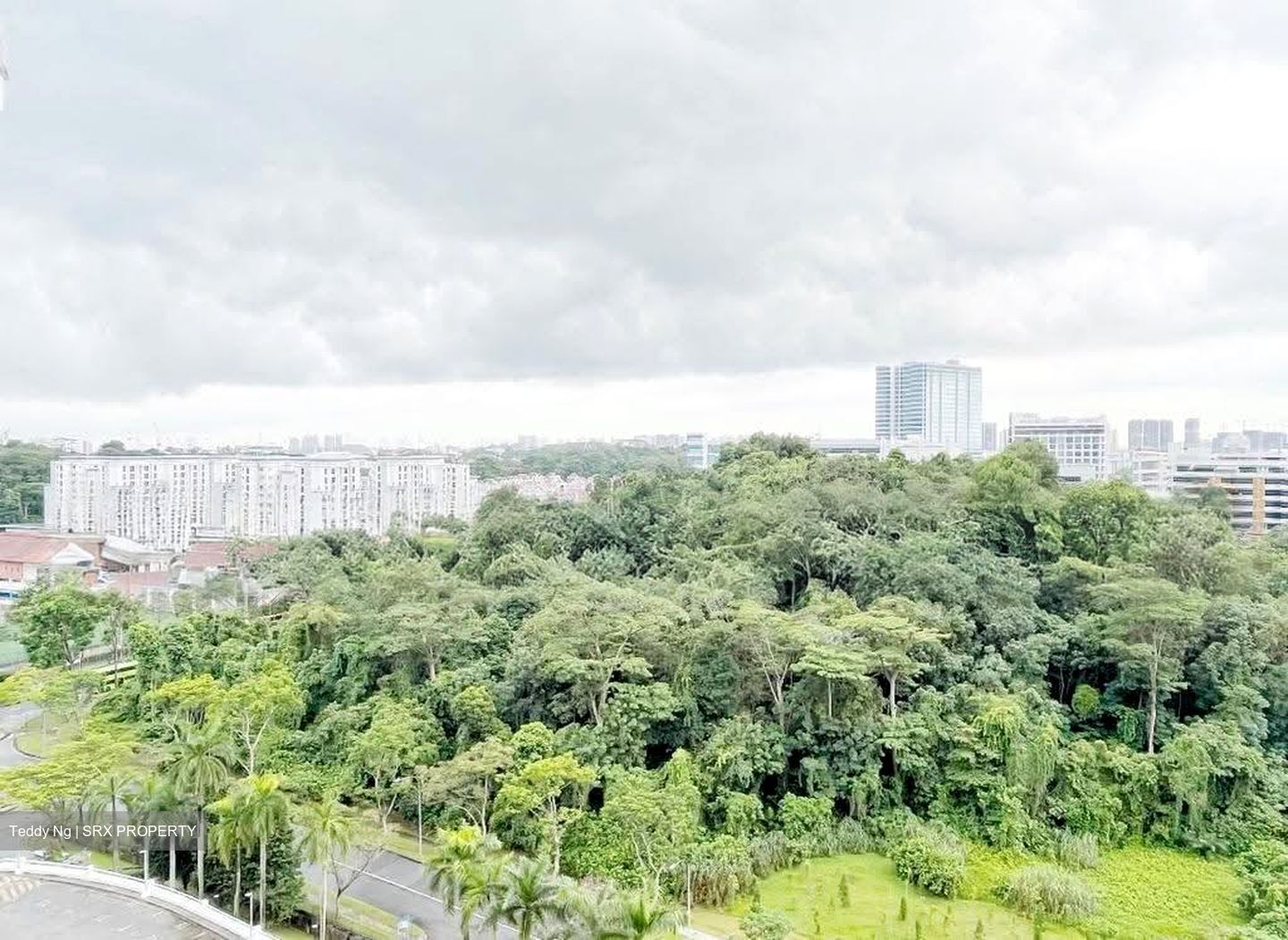 Blk 290G Spring View (Bukit Batok), HDB 4 Rooms #625559221